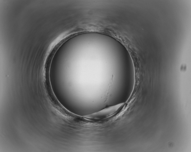 X0000097630246200803071537