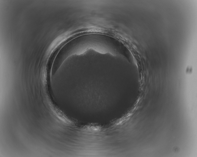 X0000097630247200803071537