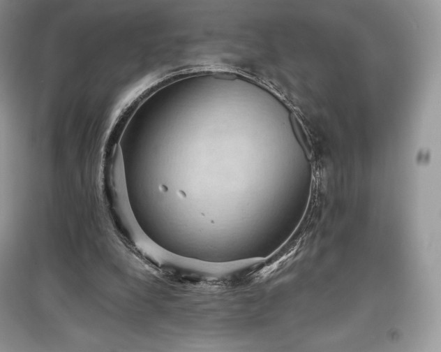 X0000097630248200803071537