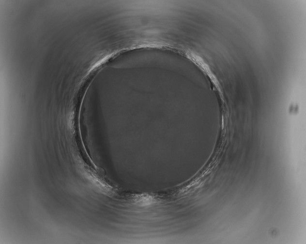 X0000097630249200803071537