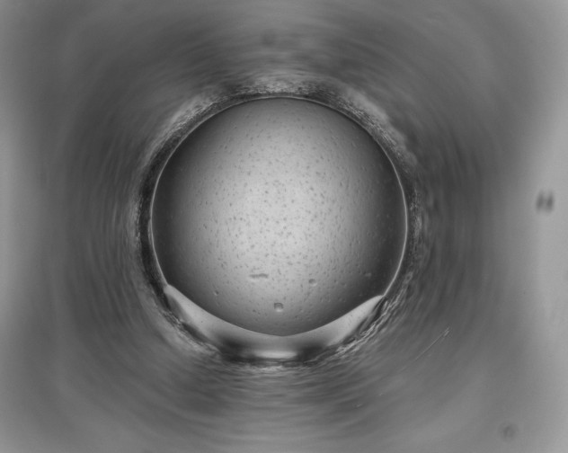 X0000097630250200803071537