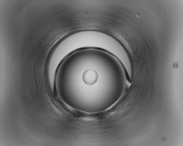 X0000097630251200803071537