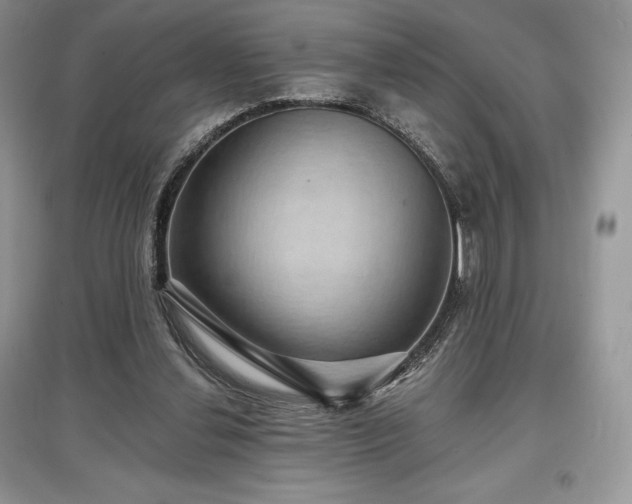 X0000097630252200803071537