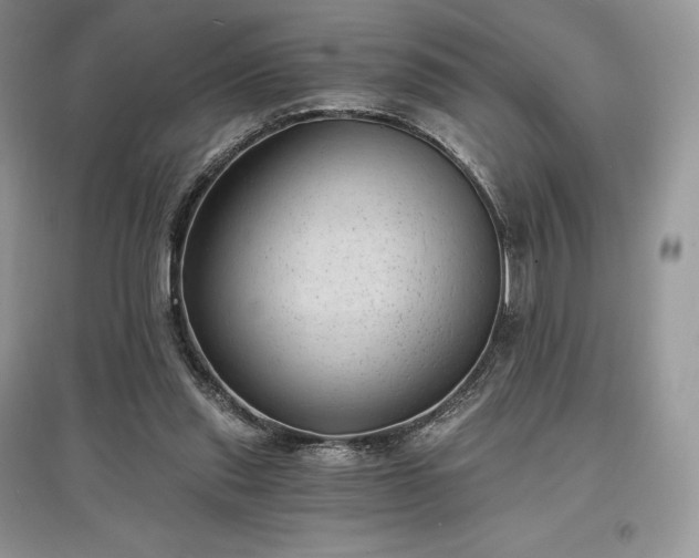 X0000097630253200803071537