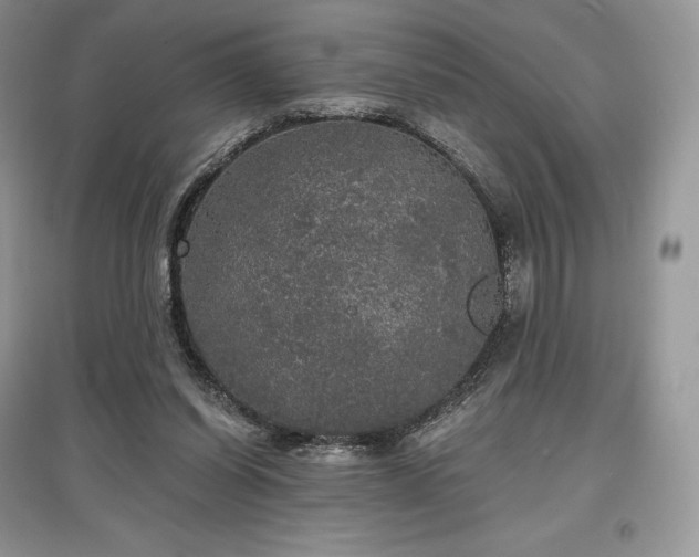 X0000097630254200803071537