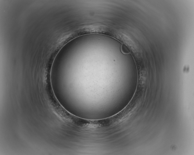 X0000097630255200803071537