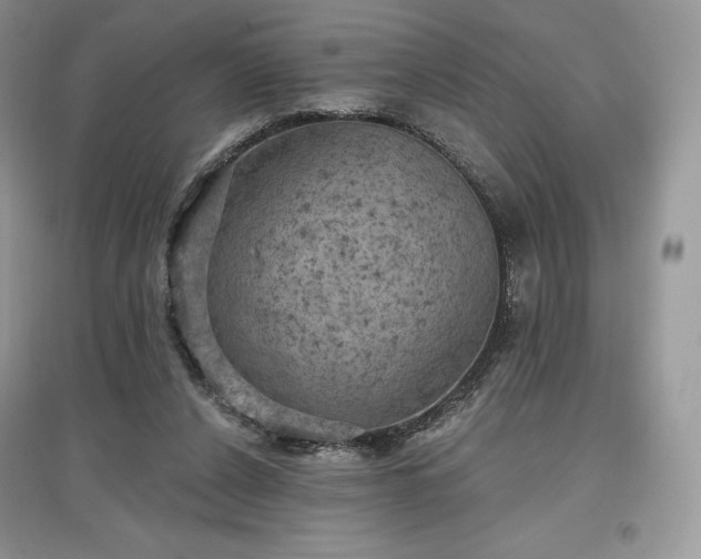 X0000097630256200803071537