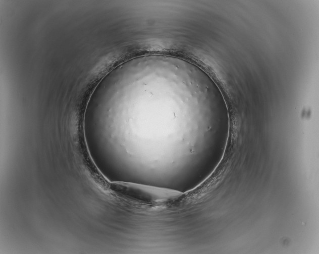 X0000097630257200803071537