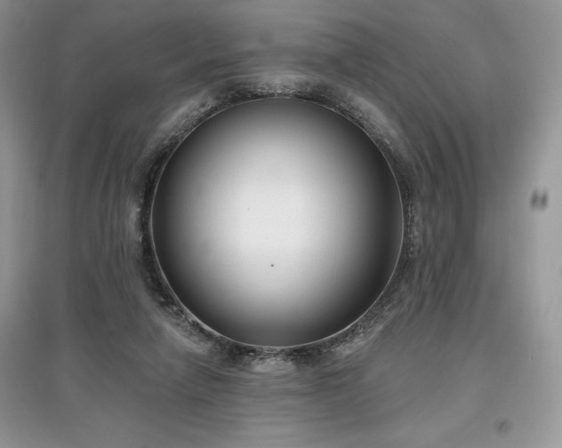 X0000097630258200803071537