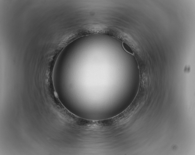 X0000097630259200803071537