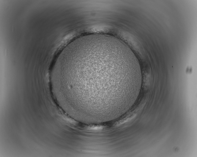 X0000097630260200803071537