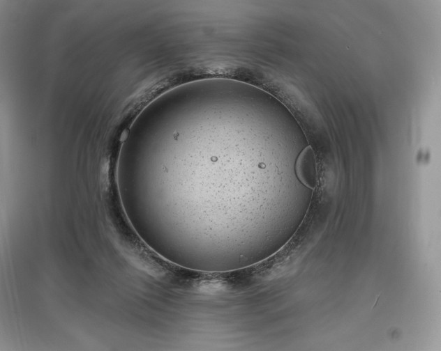 X0000097630262200803071537