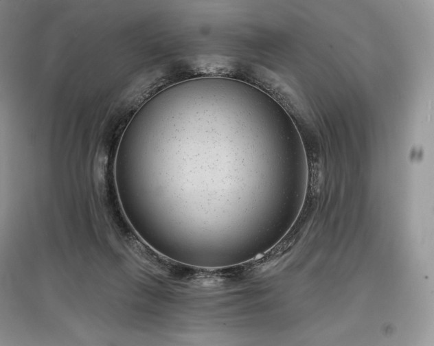 X0000097630263200803071537