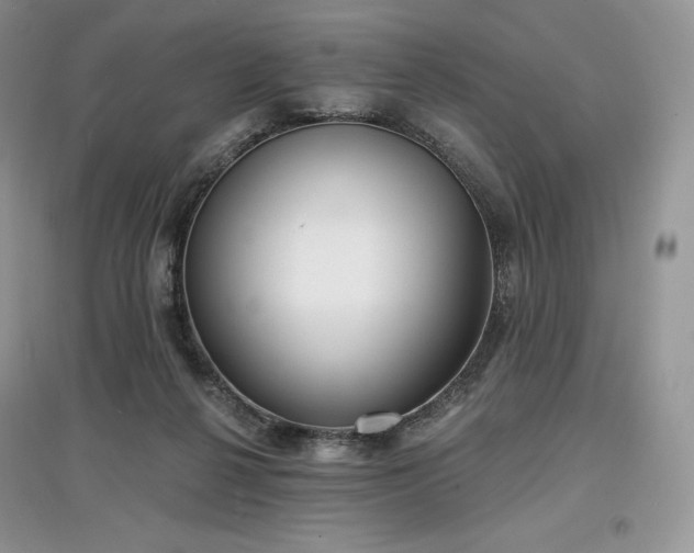 X0000097630264200803071537