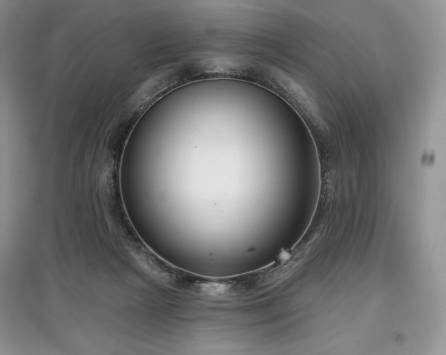 X0000097630265200803071537