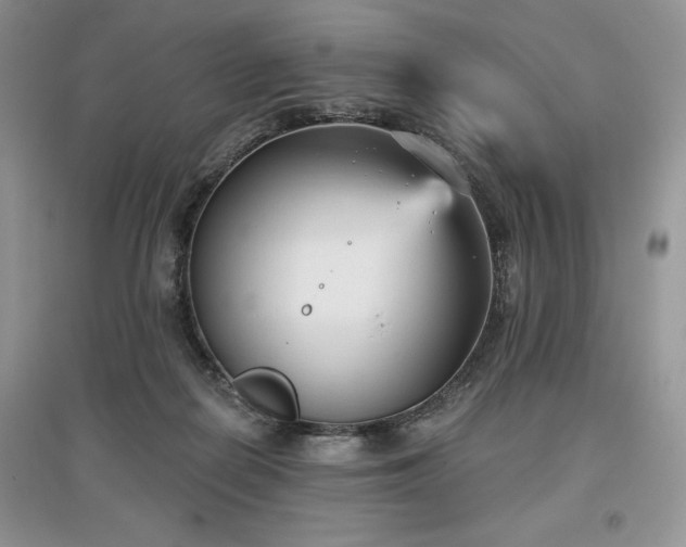 X0000097630266200803071537