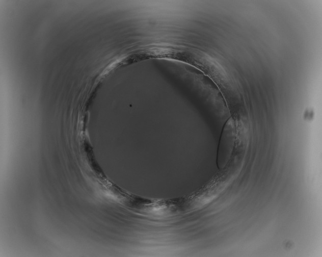 X0000097630267200803071537