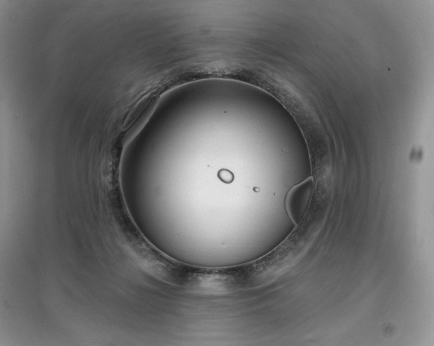 X0000097630268200803071537