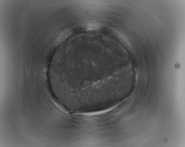 X0000097630269200803071537