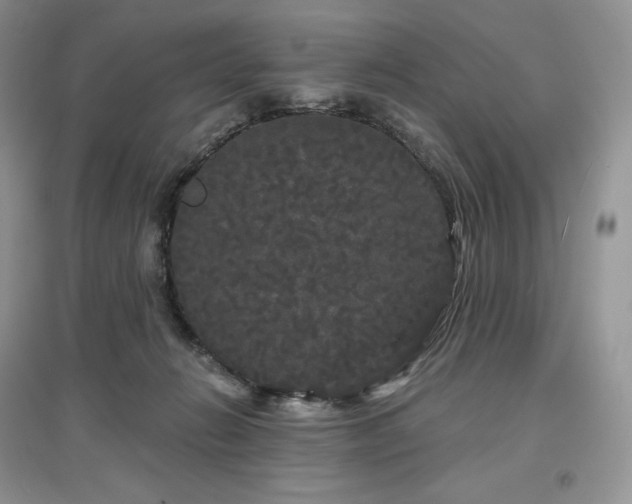 X0000097630270200803071537