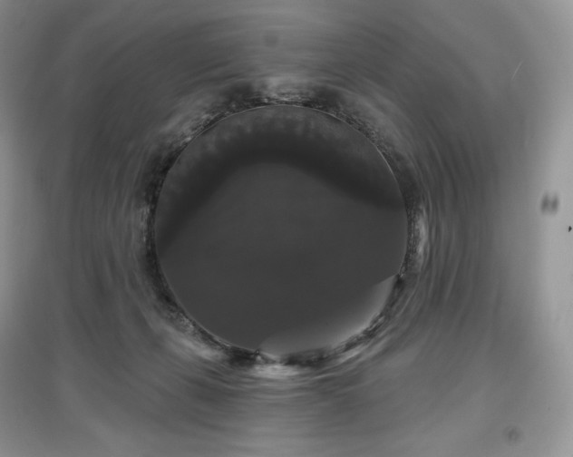 X0000097630271200803071537