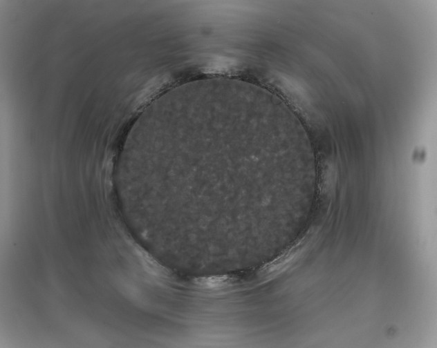 X0000097630273200803071537