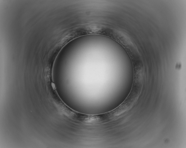 X0000097630274200803071537