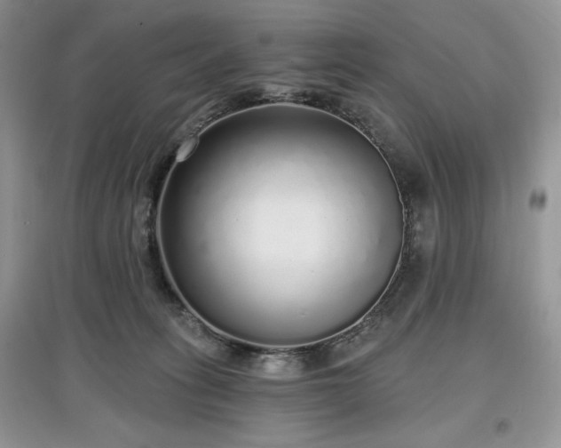 X0000097630275200803071537