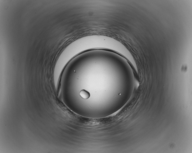 X0000097630276200803071537