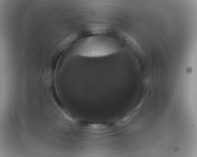 X0000097630277200803071537