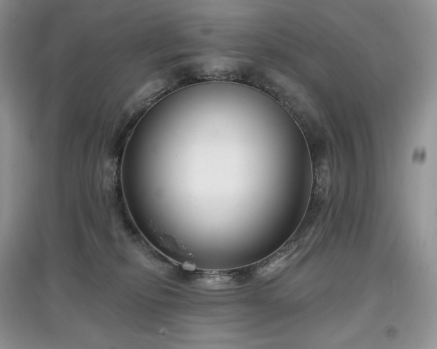 X0000097630278200803071537