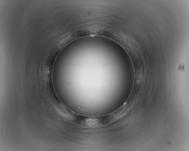 X0000097630279200803071537