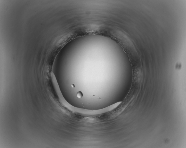 X0000097630280200803071537