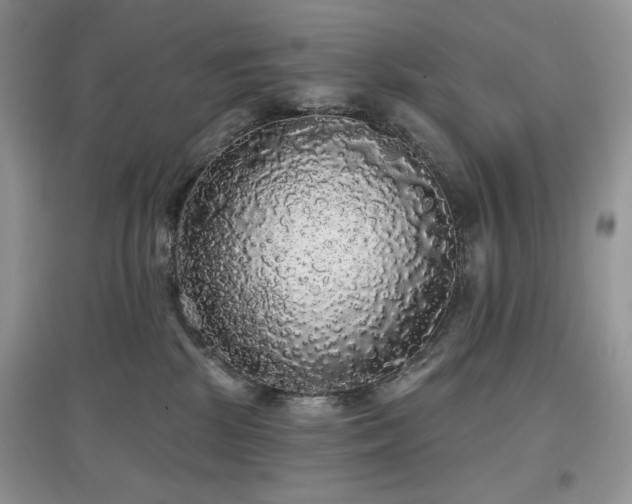 X0000097630281200803071537