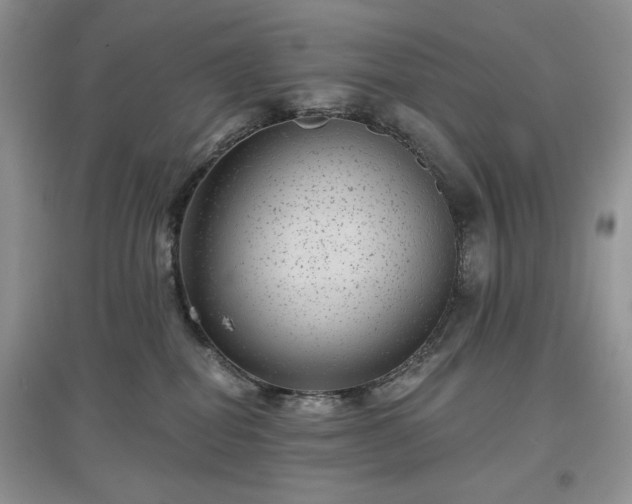 X0000097630282200803071537