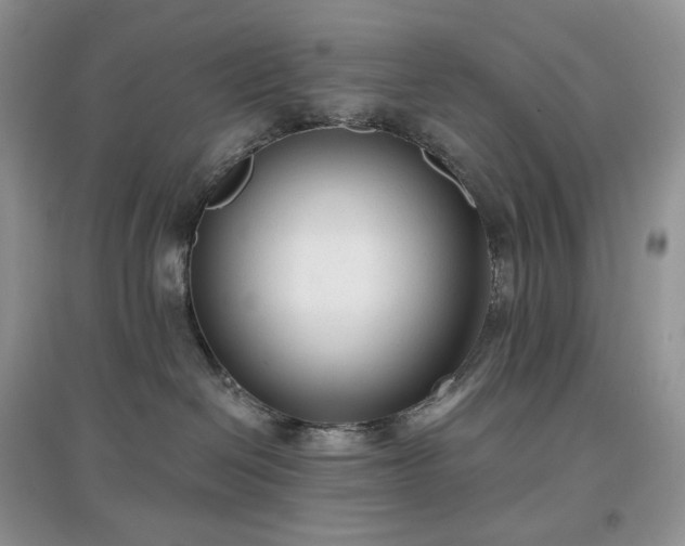 X0000097630286200803071537