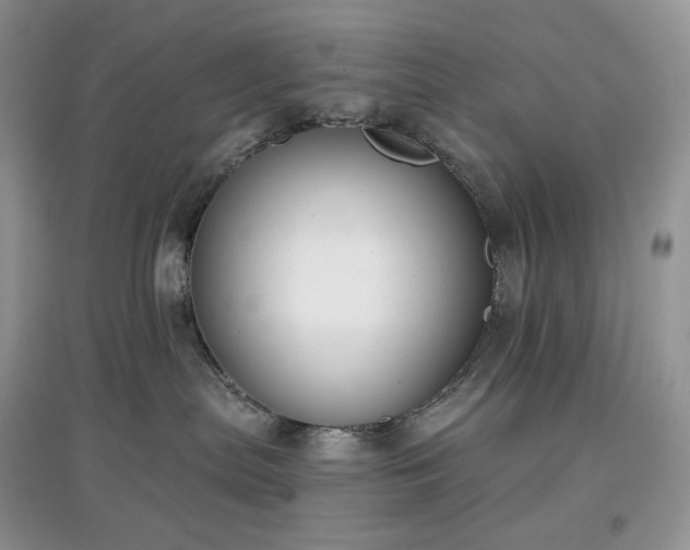 X0000097630287200803071537