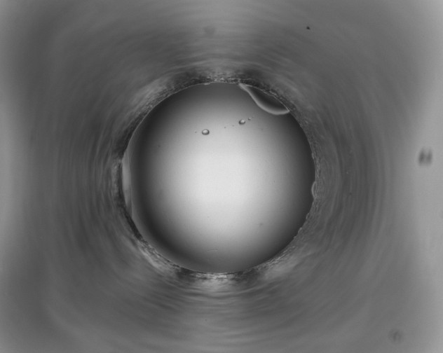 X0000097630288200803071538