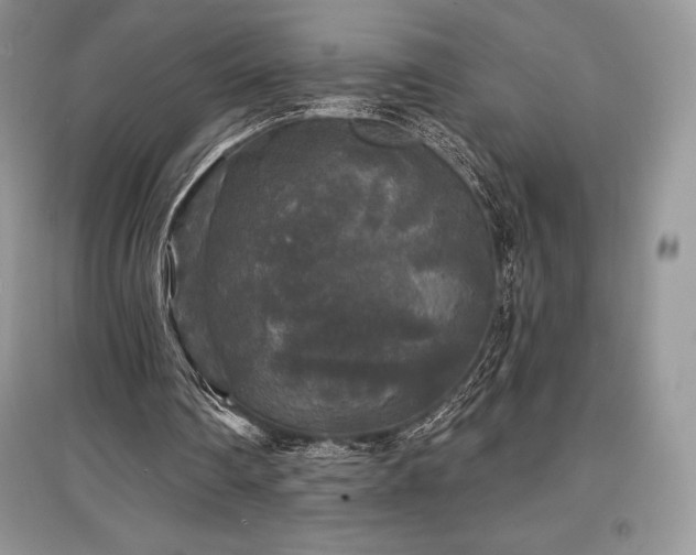 X0000097630290200803071537