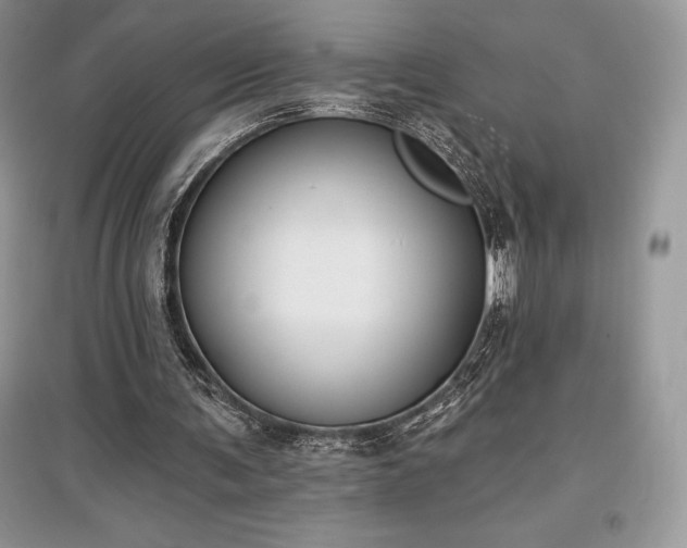 X0000097630291200803071537