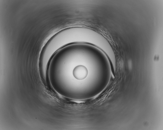 X0000097630292200803071537