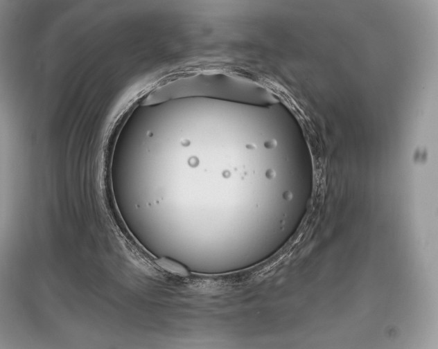 X0000097630293200803071537