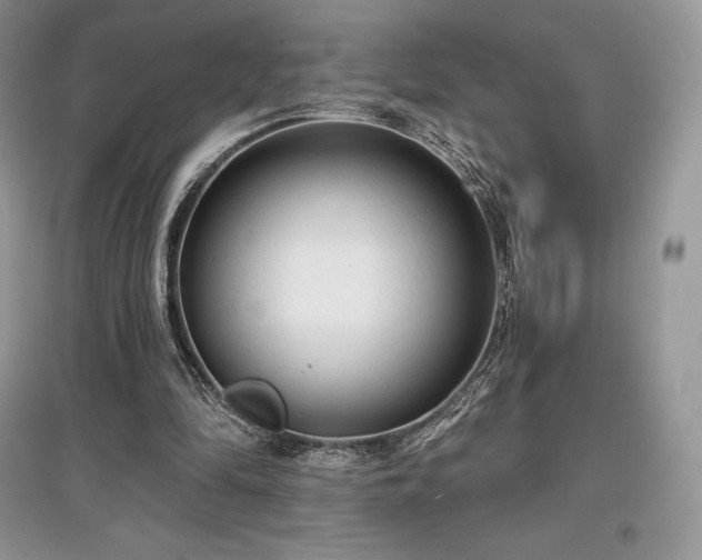 X0000097630294200803071537