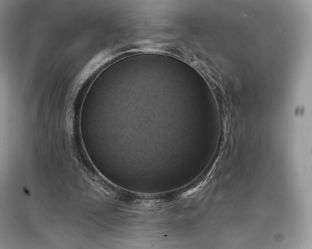 X0000097630295200803071537