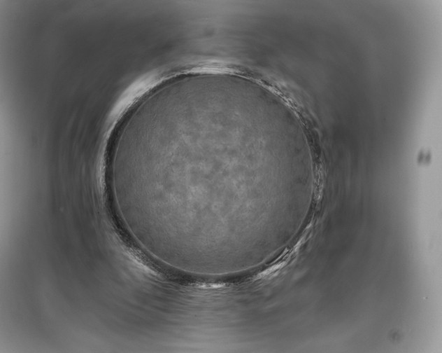 X0000097630296200803071537