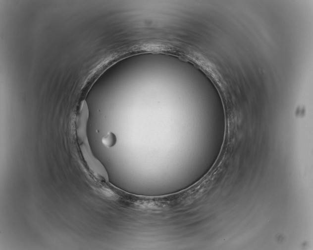 X0000097630297200803071537