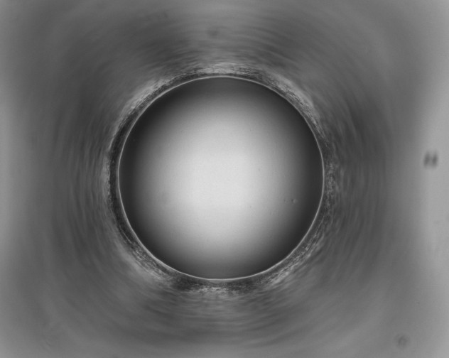 X0000097630298200803071537