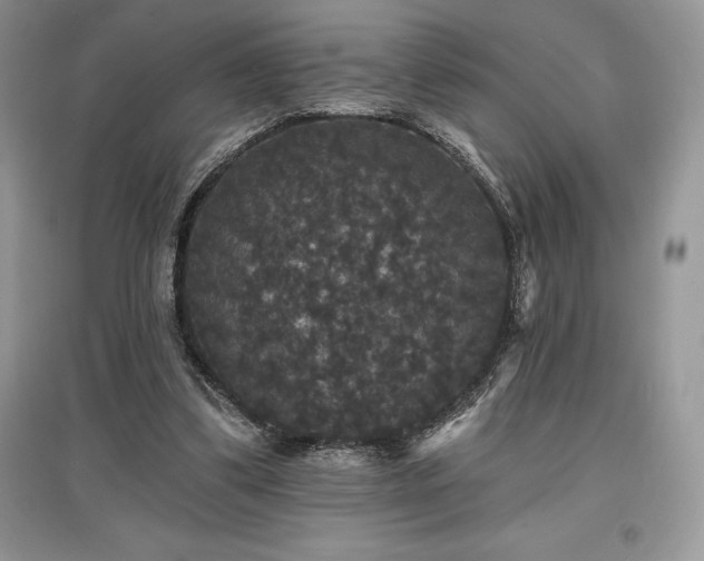 X0000097630299200803071537