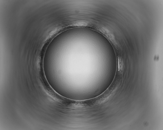 X0000097630300200803071537