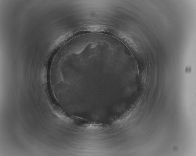 X0000097630303200803071537